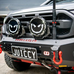 STEDI Spotlight Cover Sticker / Wrap.