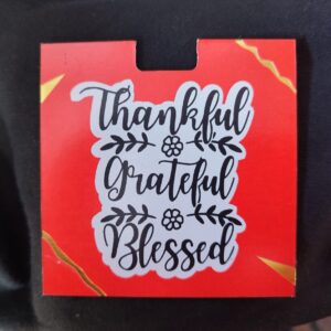 Thankful Car Insurance Holder